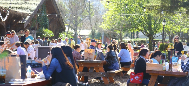 People having a nice time in Napa Valley 