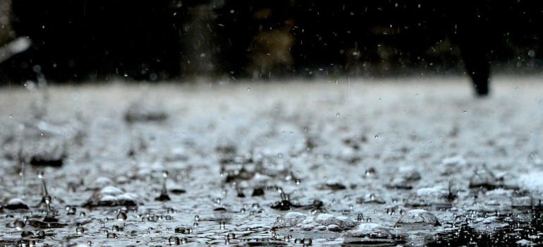 rain drops during winter moving in California