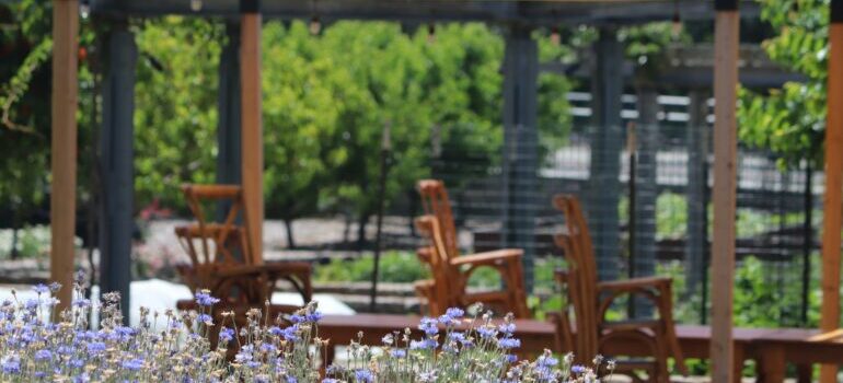 people are choosing to move to Napa CA