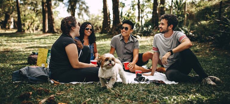 People Sitting on White Mat on Grass Field