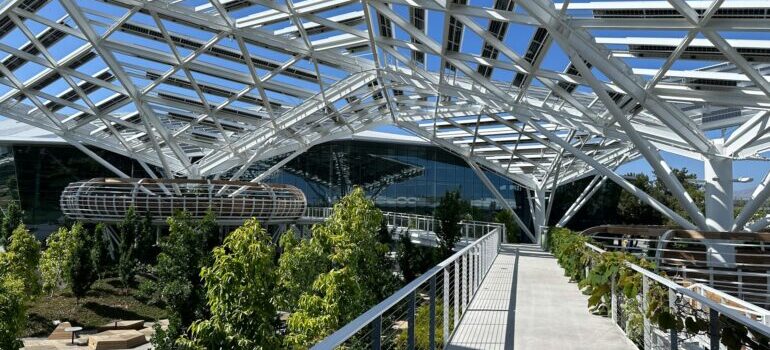 glass roof